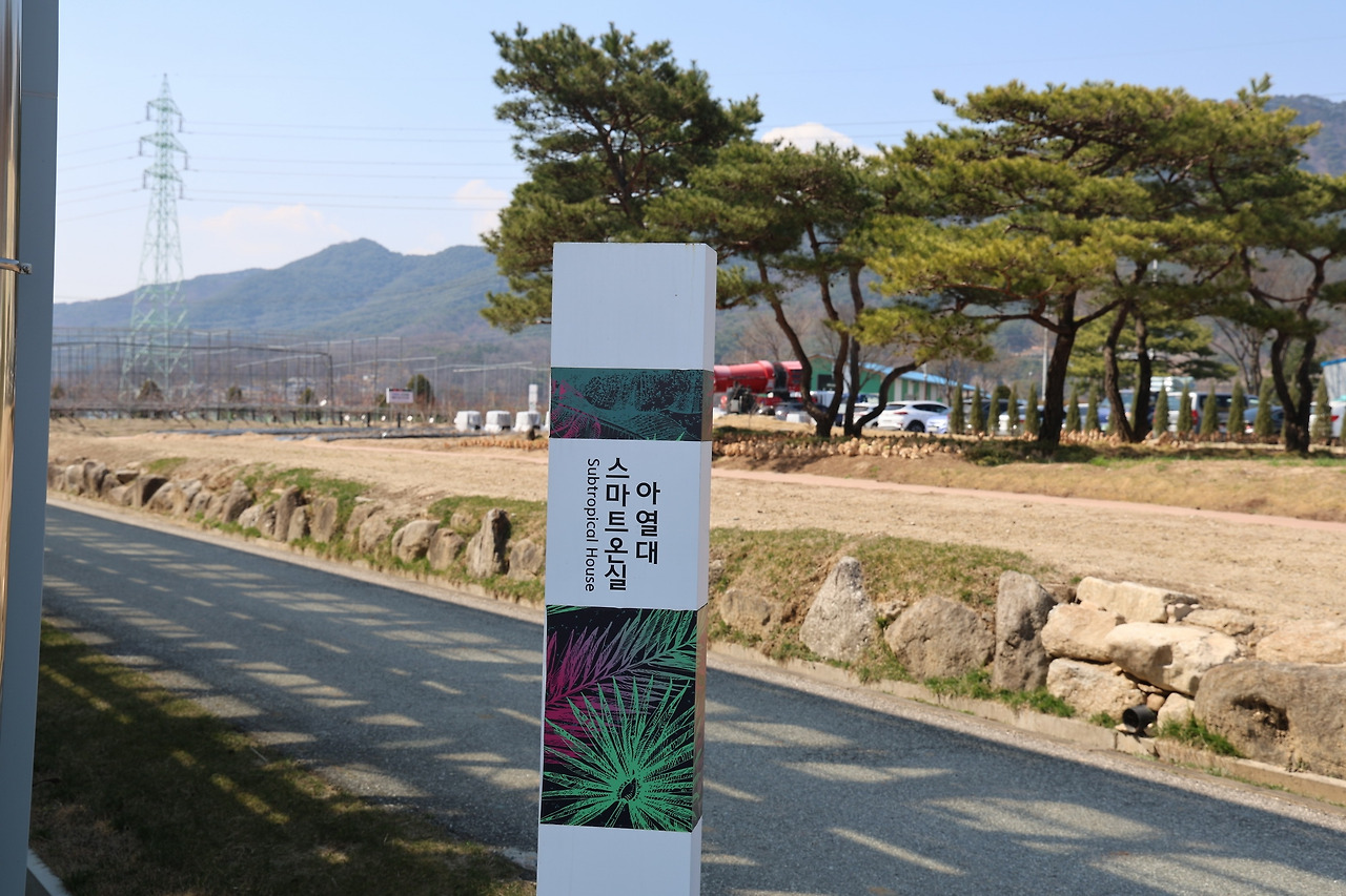 카지노 게임 추천
