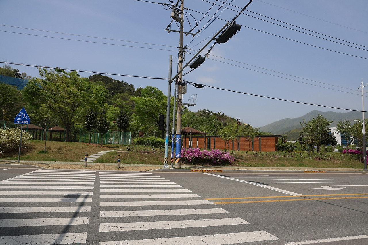 카지노 가입 쿠폰