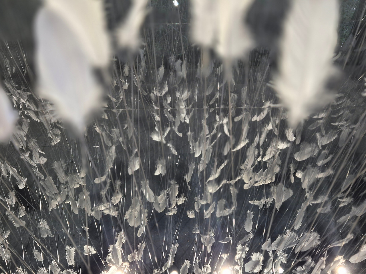 촌닭집 이연숙 1.jpg