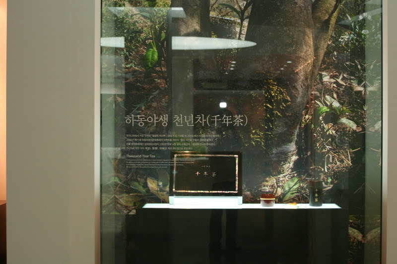 천년차_resize.jpg