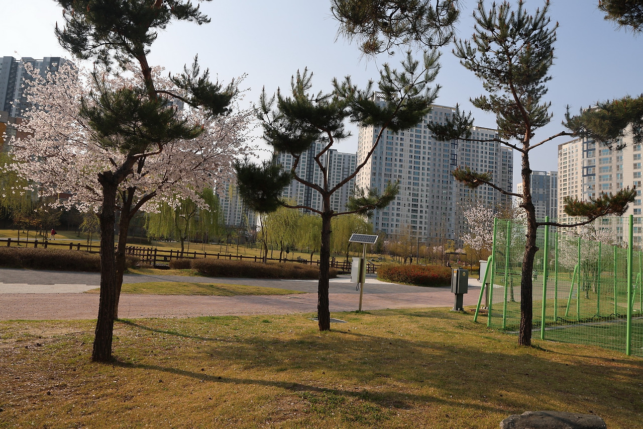 카지노 게임