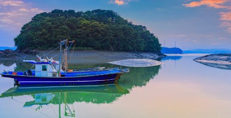 2020-11-19 PM 08-15-08.jpg