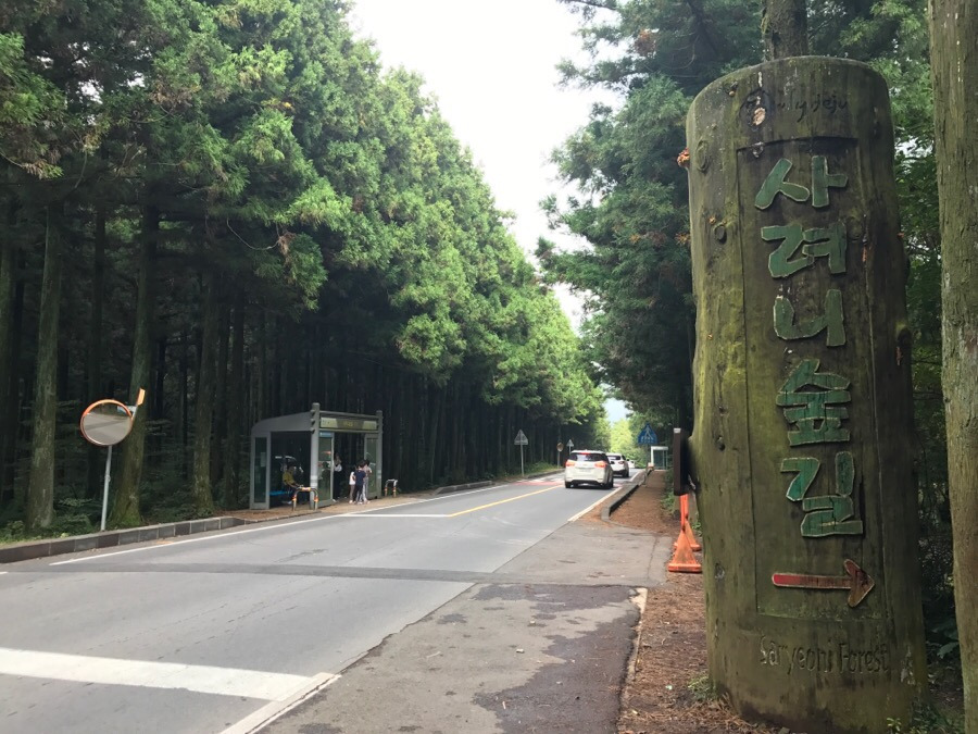 사려니숲길.jpg