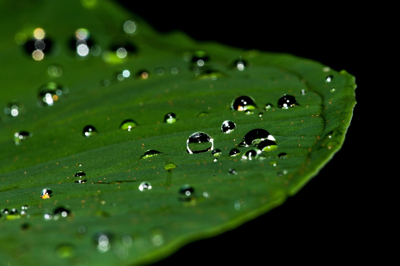 droplets-195841_1280.jpg