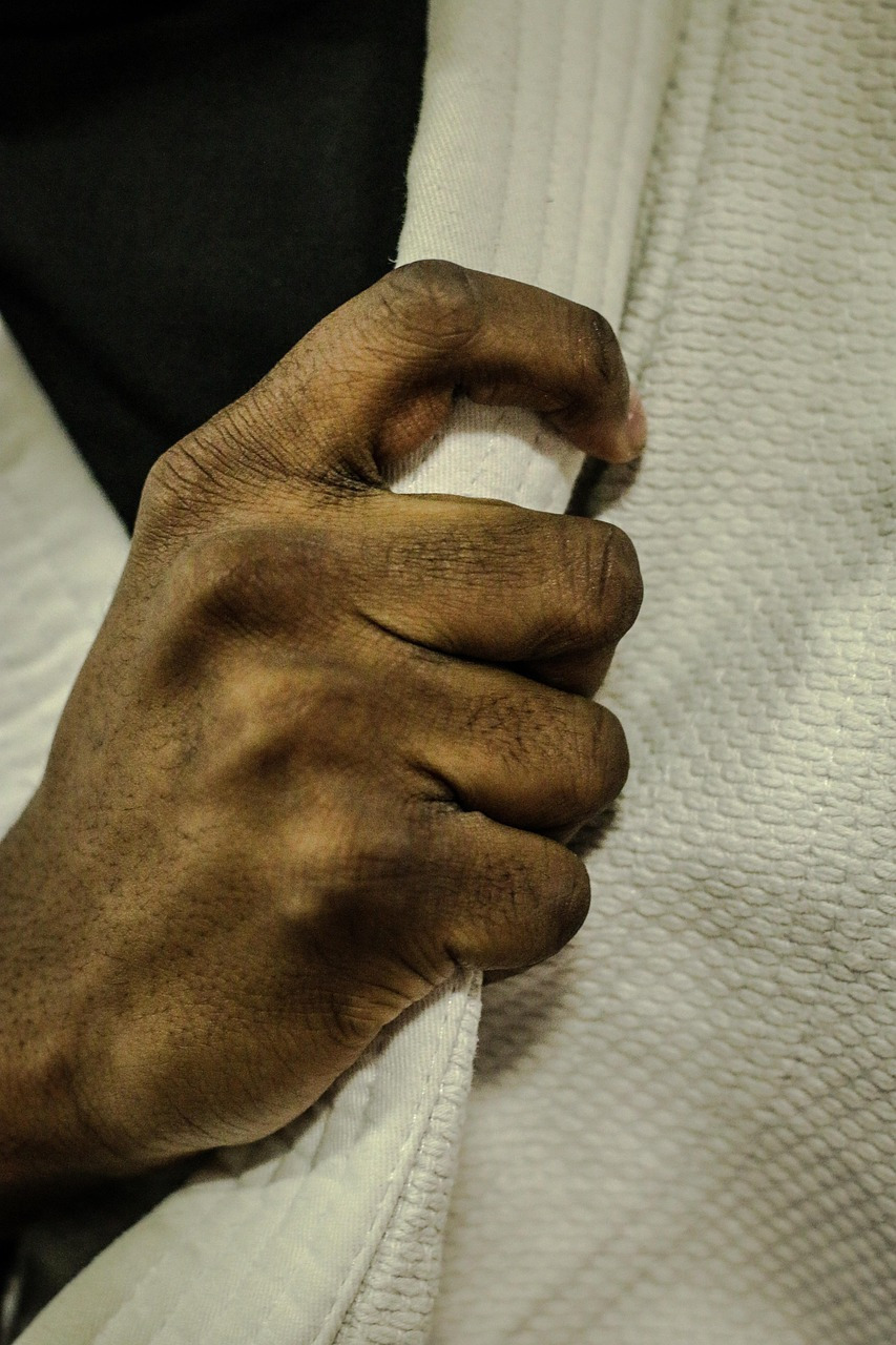 judo-2121622_1280.jpg