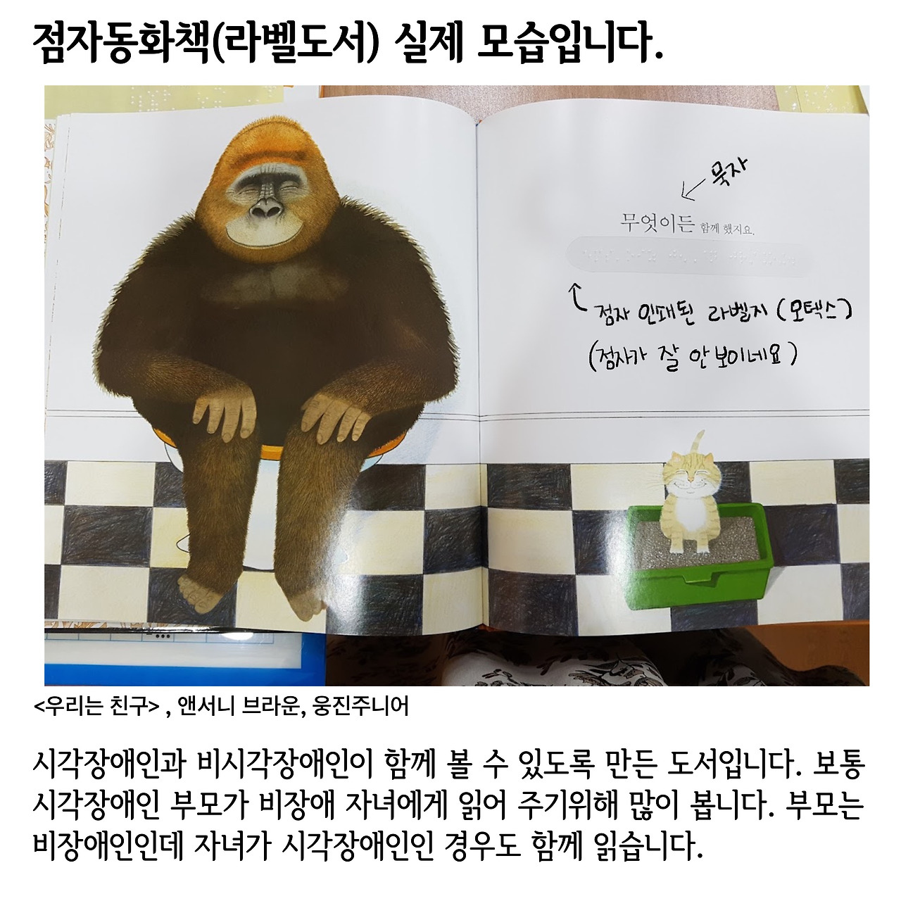 점자동화책 실제.jpg