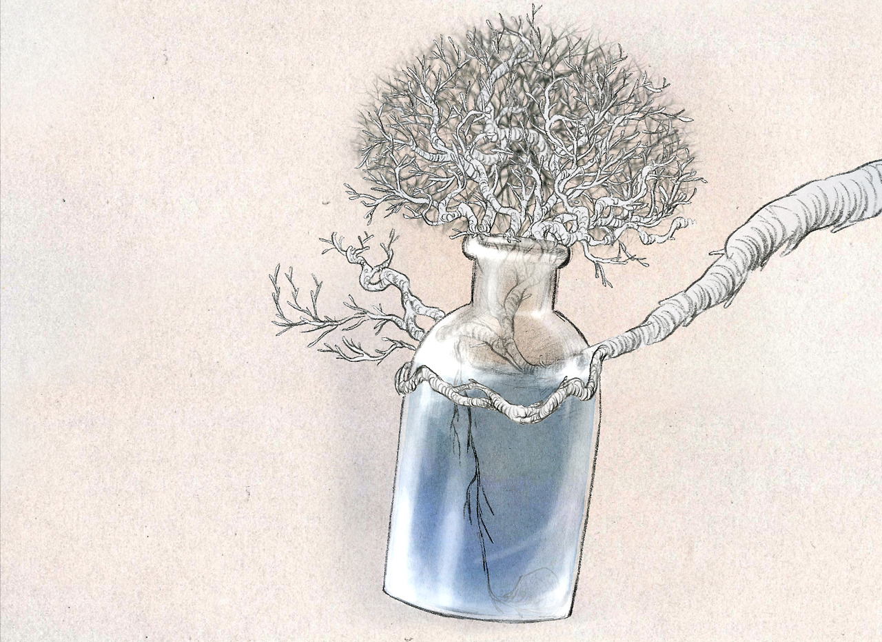 bouteille (0.00.00.jpg