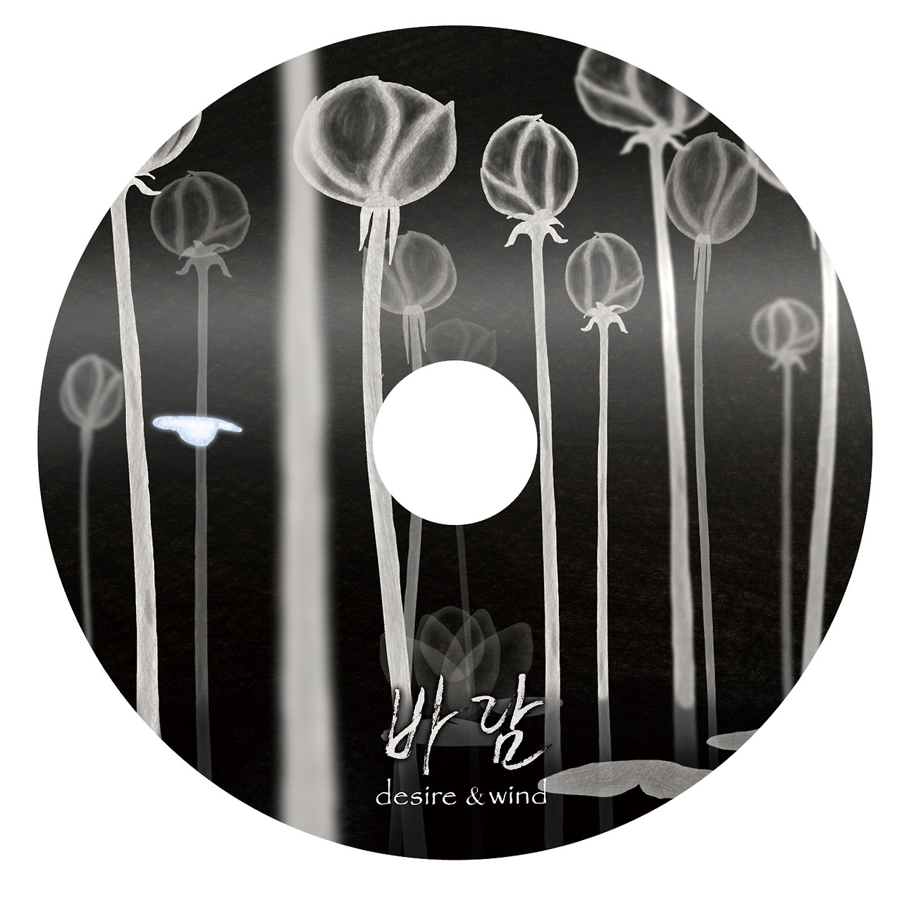 DVD디자인 (2).jpg