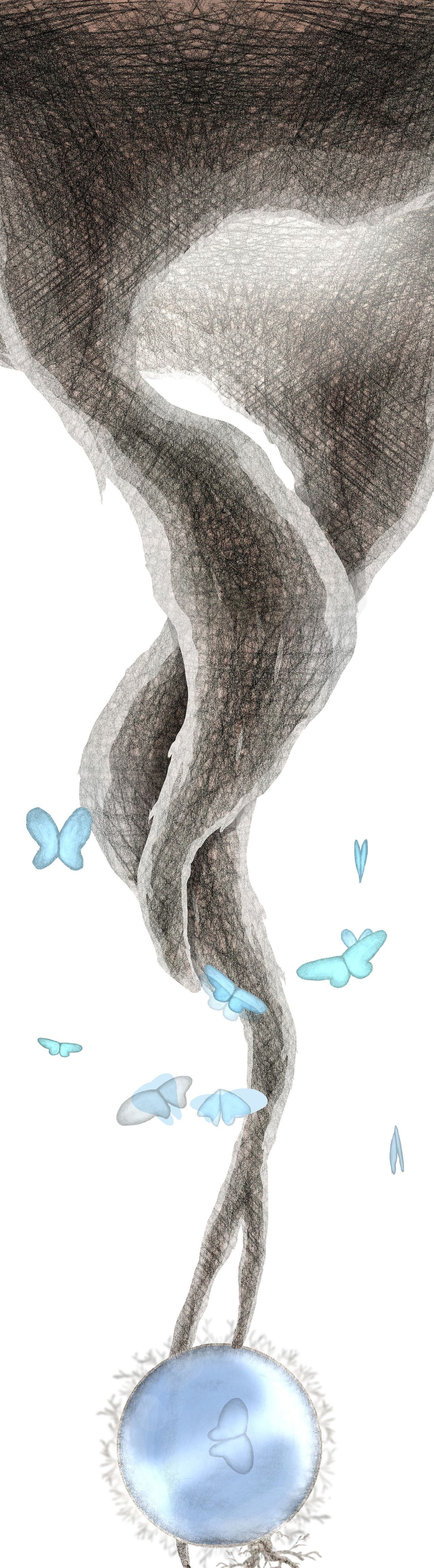 1.go to flower2 (0.00.04.jpg