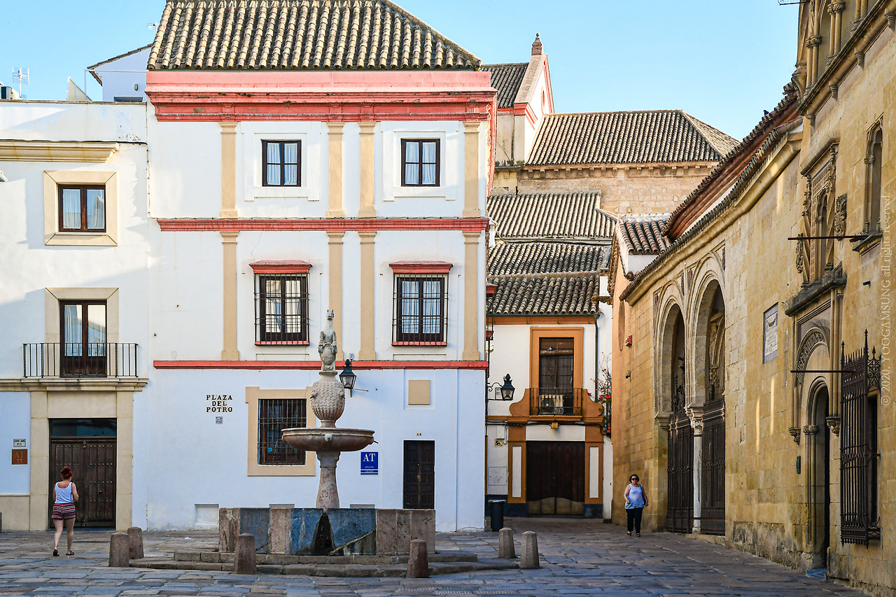 DSC_6731_라1800 복사본.jpg