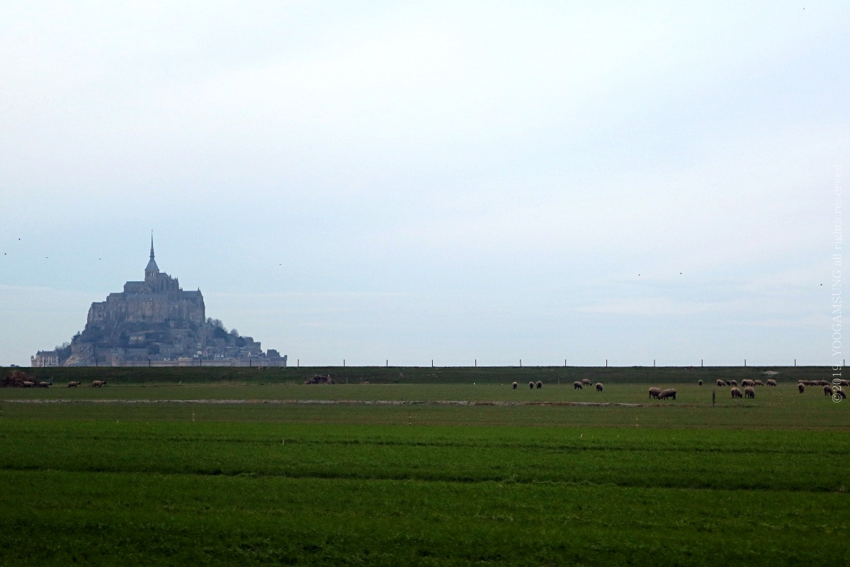 IMG_2780 복사_1200.jpg