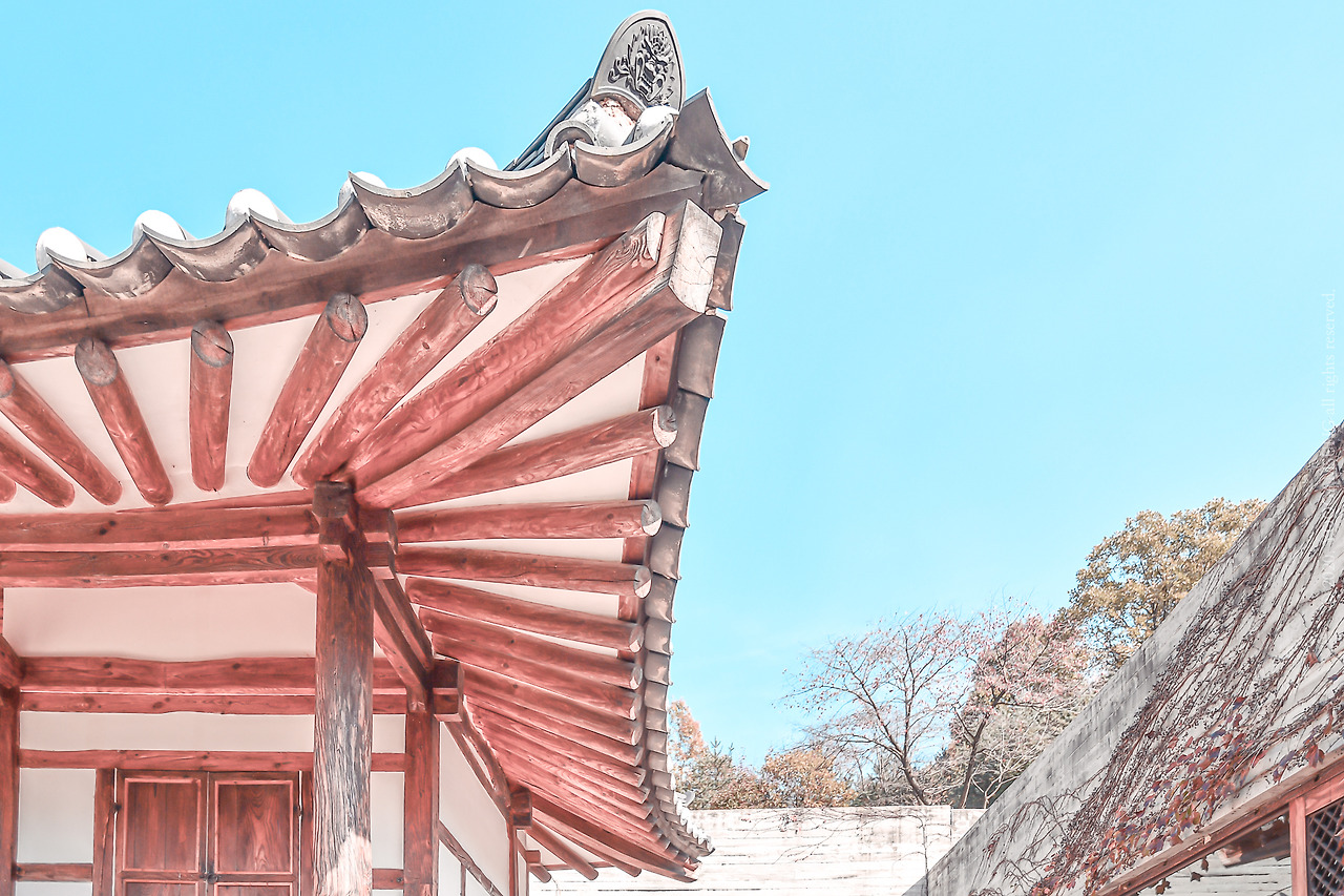 DSC_1456_라1800 복사본.jpg