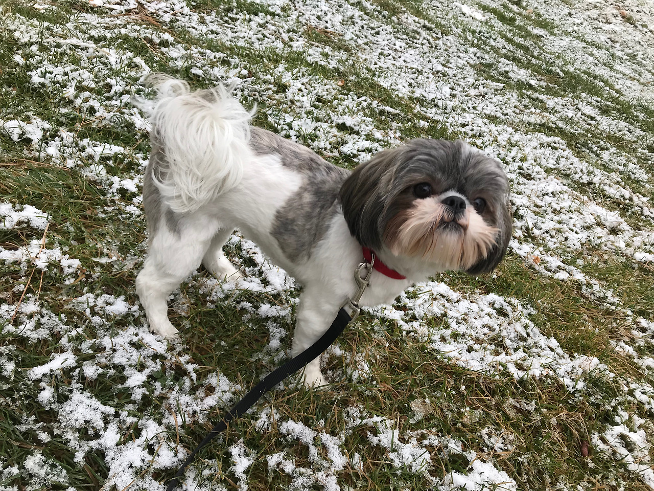 2018-11-10 11.58.37.jpg