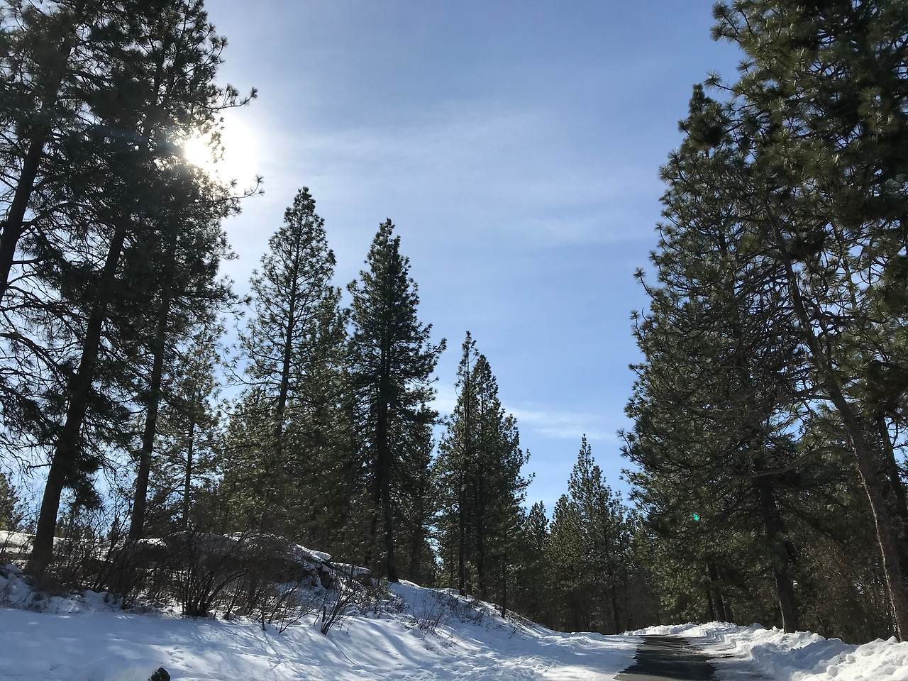 2019-03-11 14.28.42.jpg