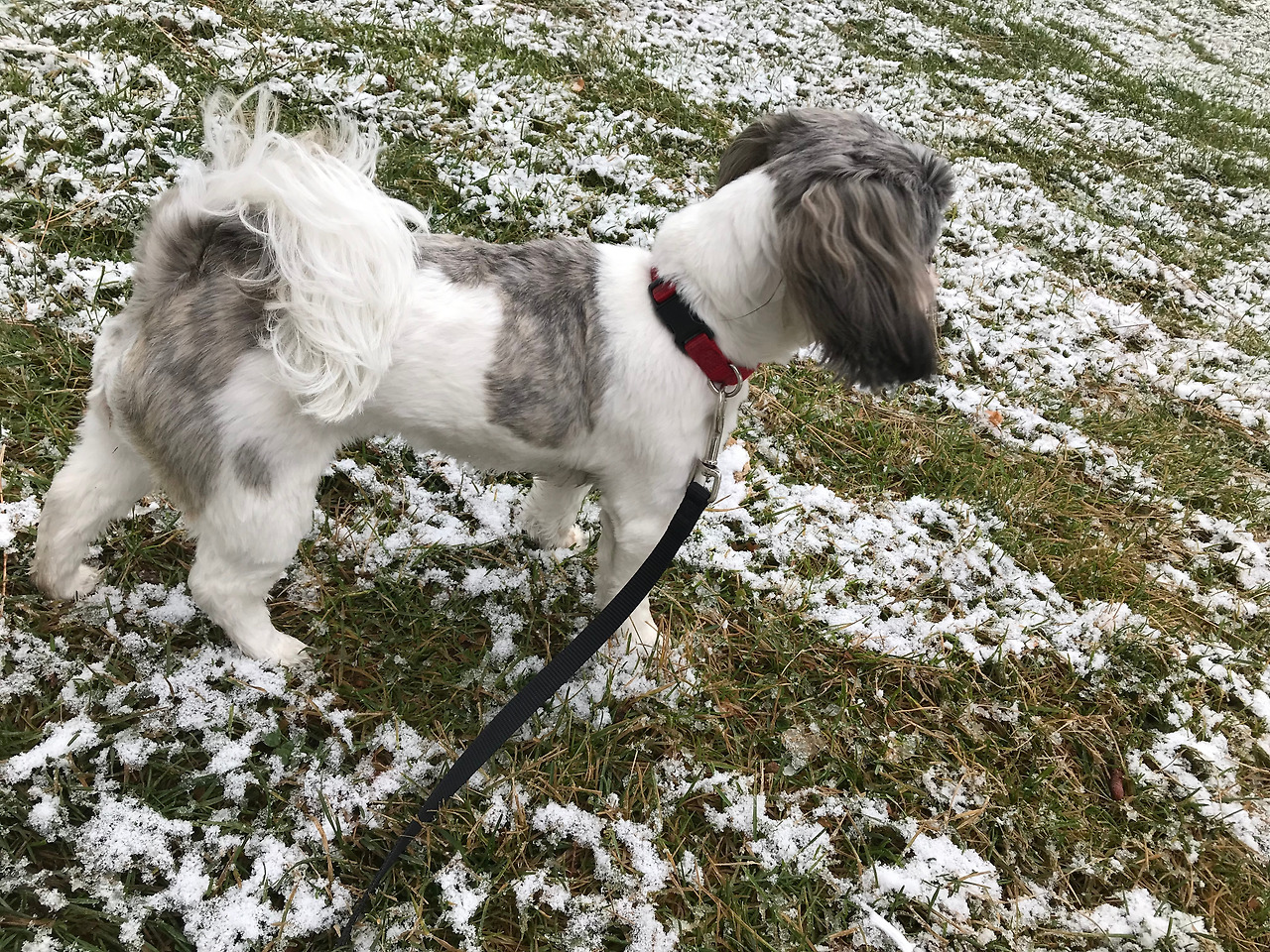 2018-11-10 11.58.34.jpg