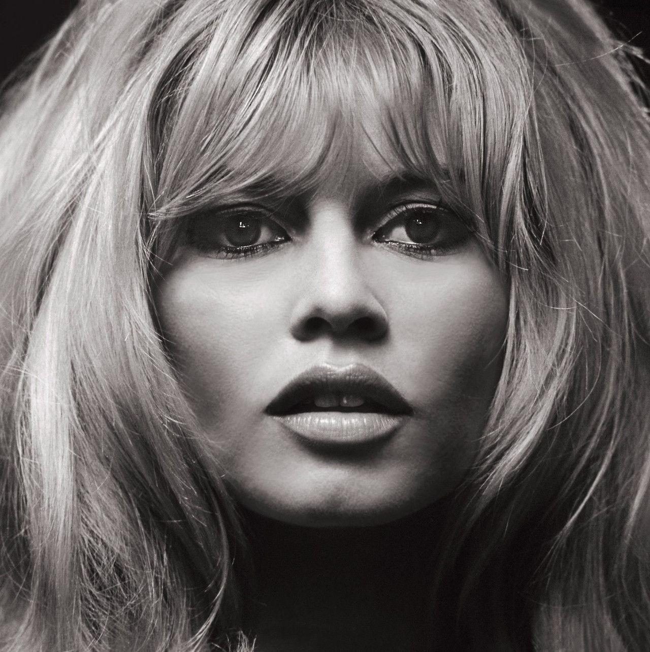 3490-Brigitte-Bardot-Portrait-Carre-1965.jpg