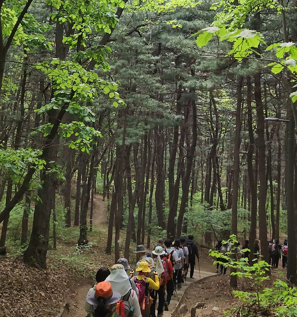 2023-04-23 11 38 20.jpg