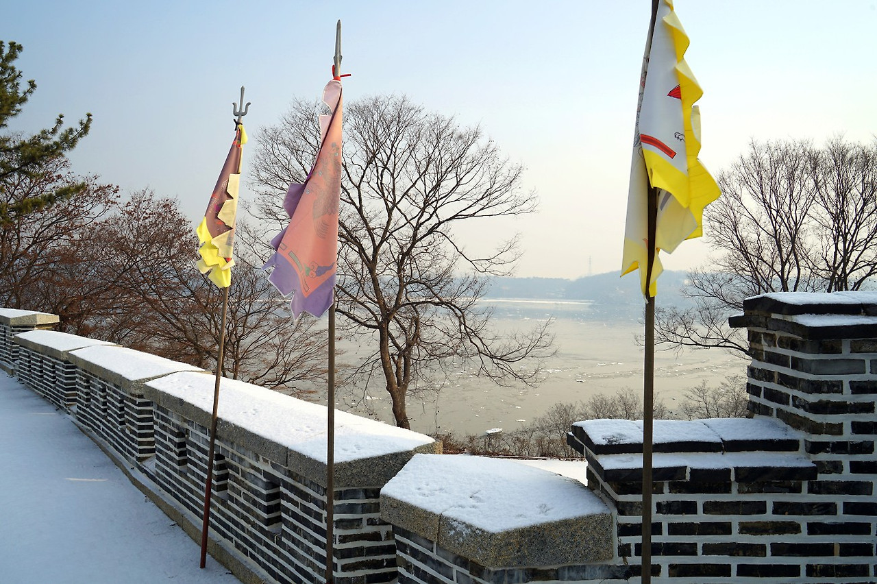 신미양요 병인양요 전쟁 쇄국정책 검색질 (17).jpg