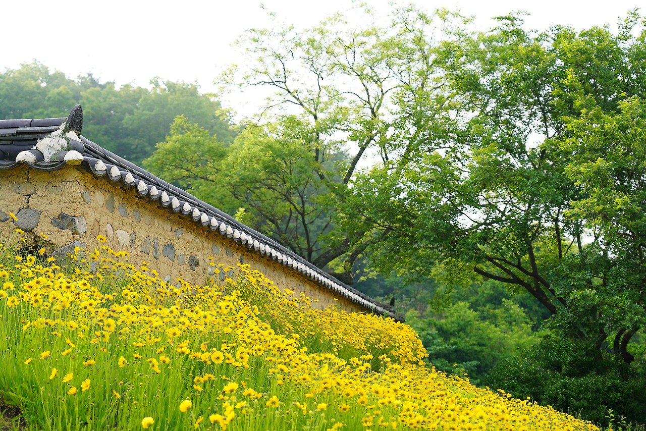 을사늑약 을사오적 이완용 (27).jpg