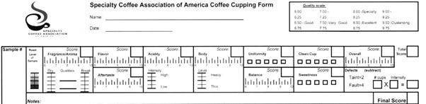 커핑 점수지 샘플.jpg