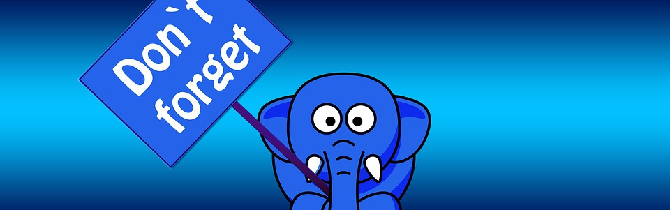 dont_forget_elephant_pixabay.jpg