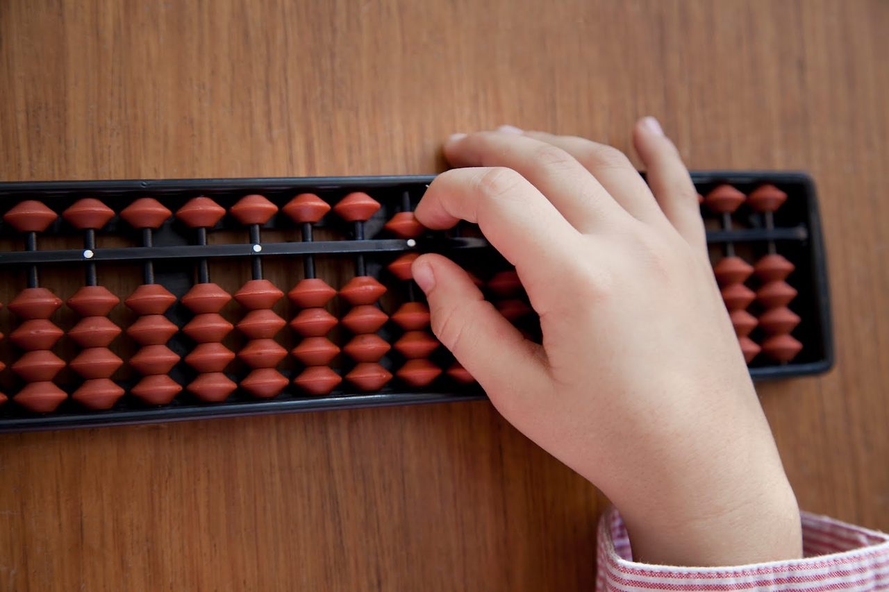 abacus_adult.jpg