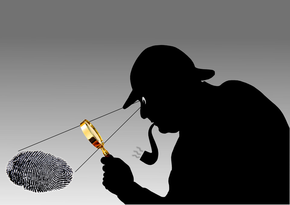 detective_pixabay.jpg