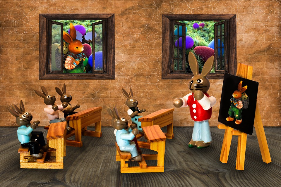 class_bunny_pixabay.jpg
