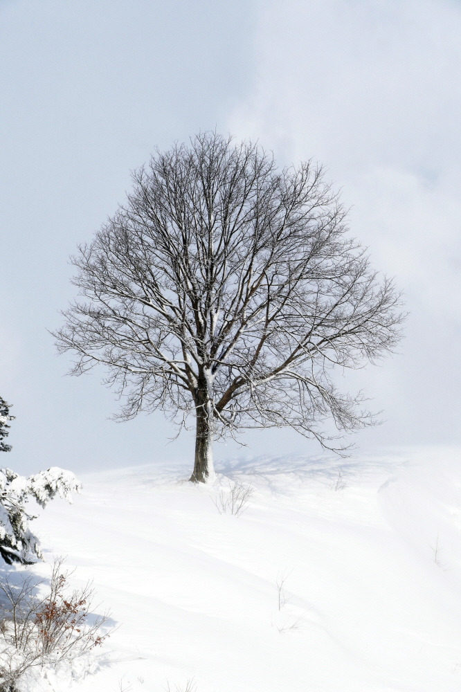 김도형사진 (05).jpg