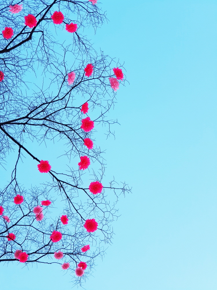 김도형사진 (02).jpg