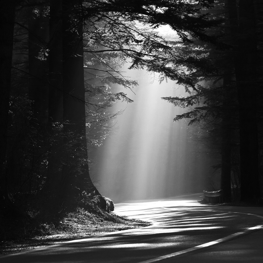 김도형사진 (03).jpg