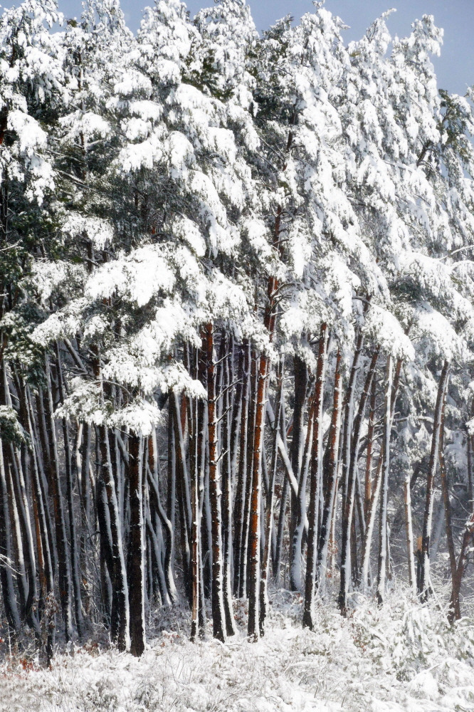 김도형사진 (04).jpg