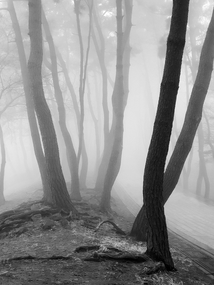 김도형사진 (01).jpg