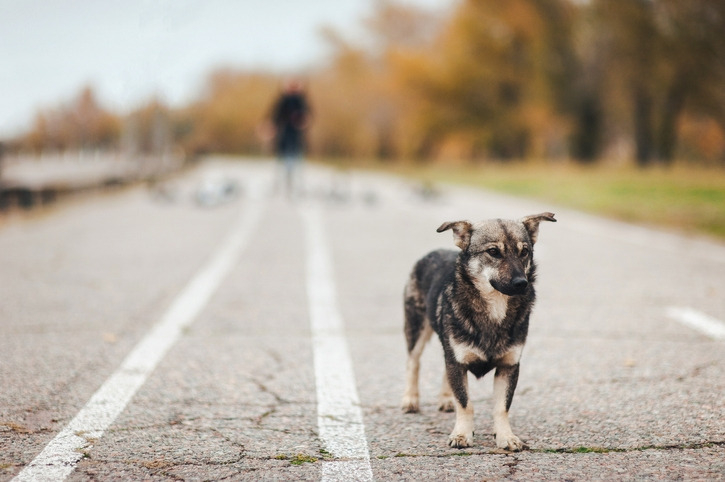 002 GettyImages-1024337008.jpg