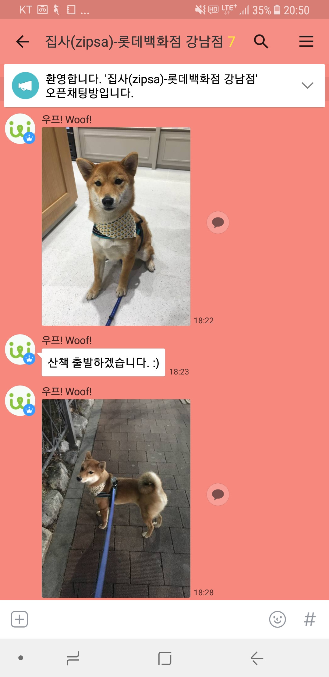 도그워커 메시지KakaoTalk_20180207_161220785.jpg