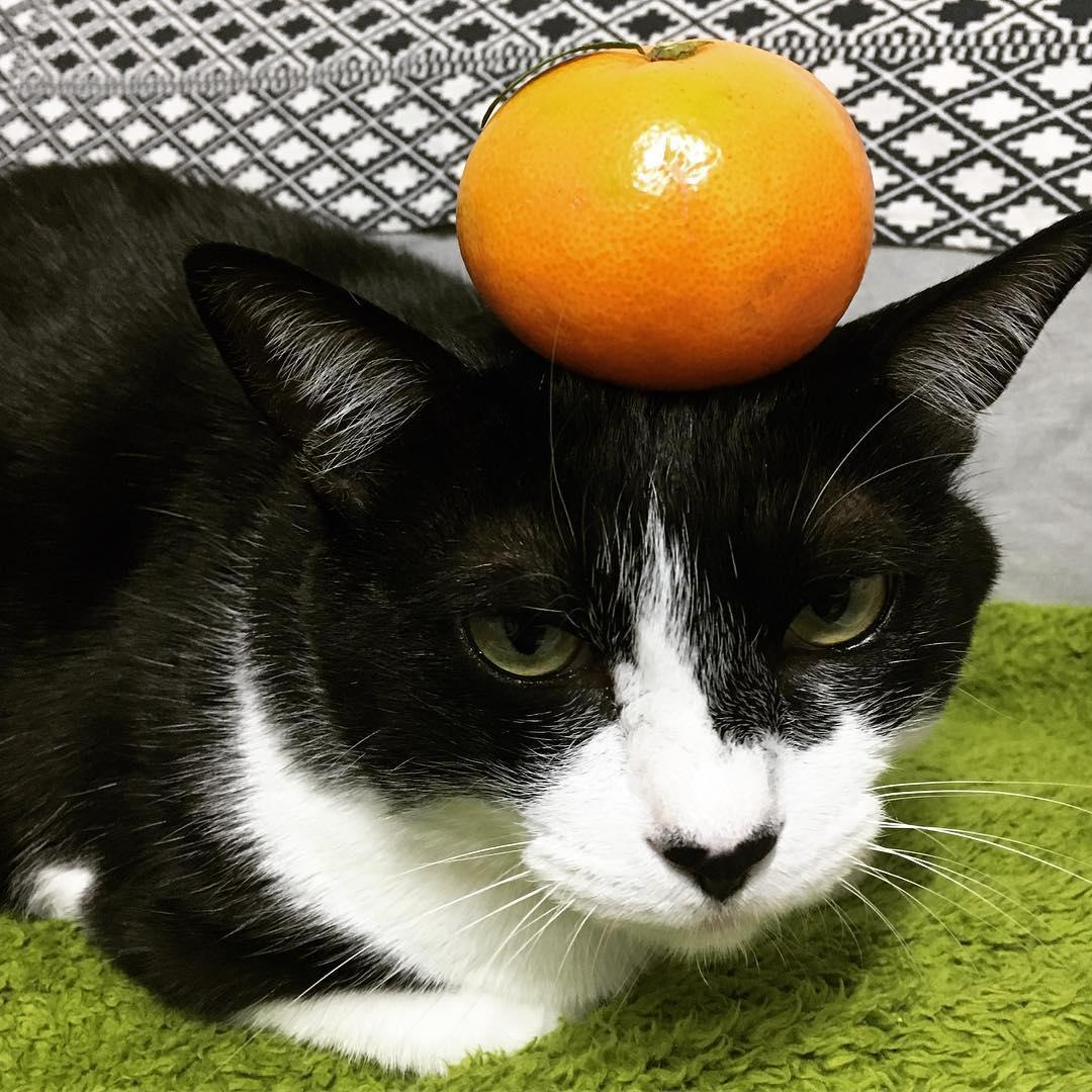 photo_2018-03-26_11-22-01 (2).jpg