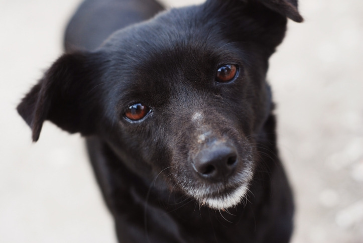 001 GettyImages-944310948.jpg