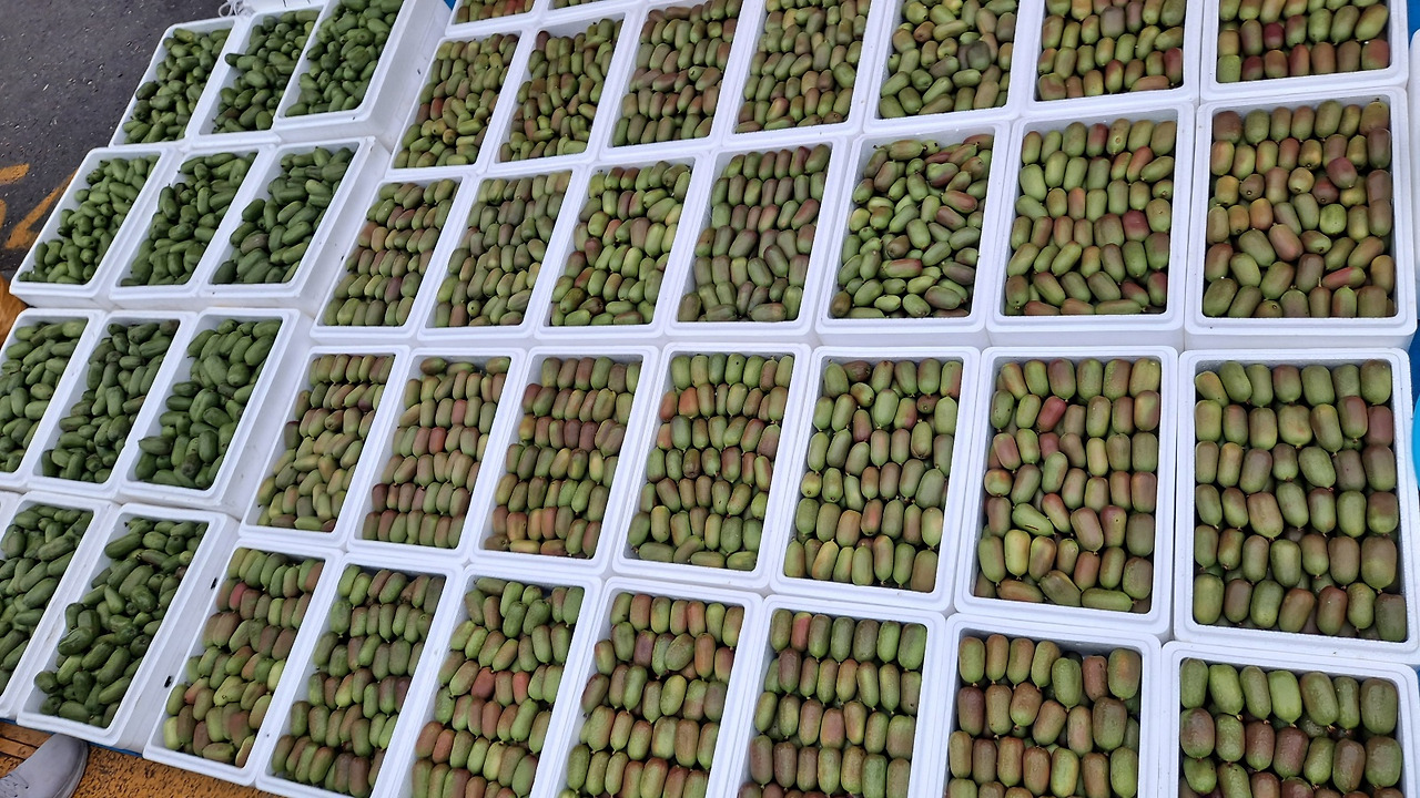 KakaoTalk_20241023_071328813_14 - 복사본.jpg