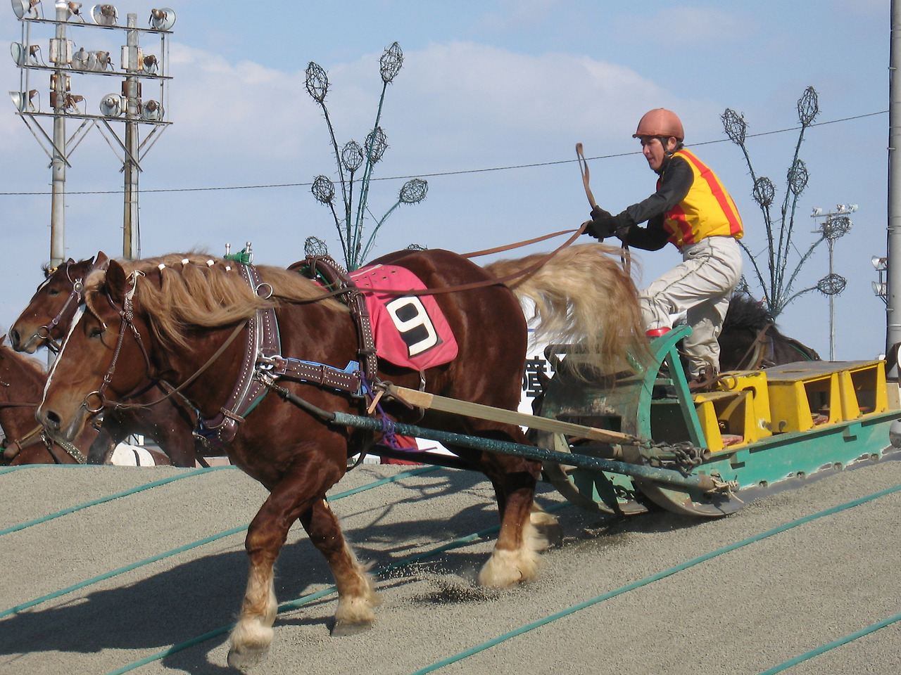 (2011년 2월) 오비히로.jpg