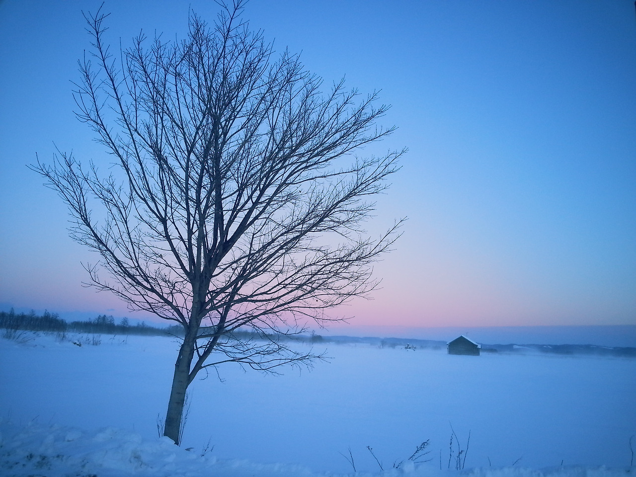 (2016년 12월) 카미시호로.jpg