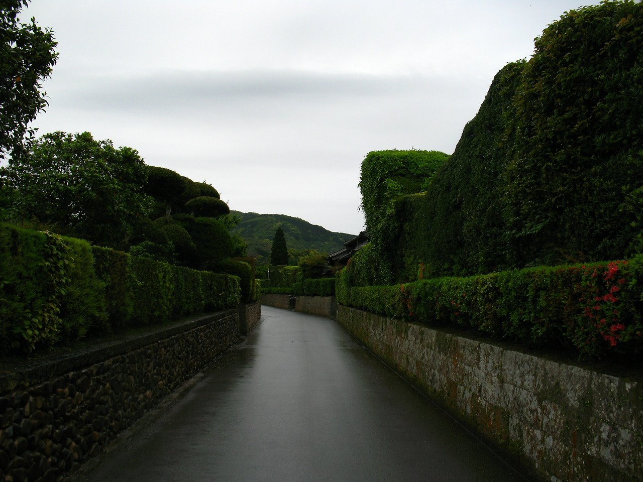 (2010년 5월) 고즈넉한 길.jpg