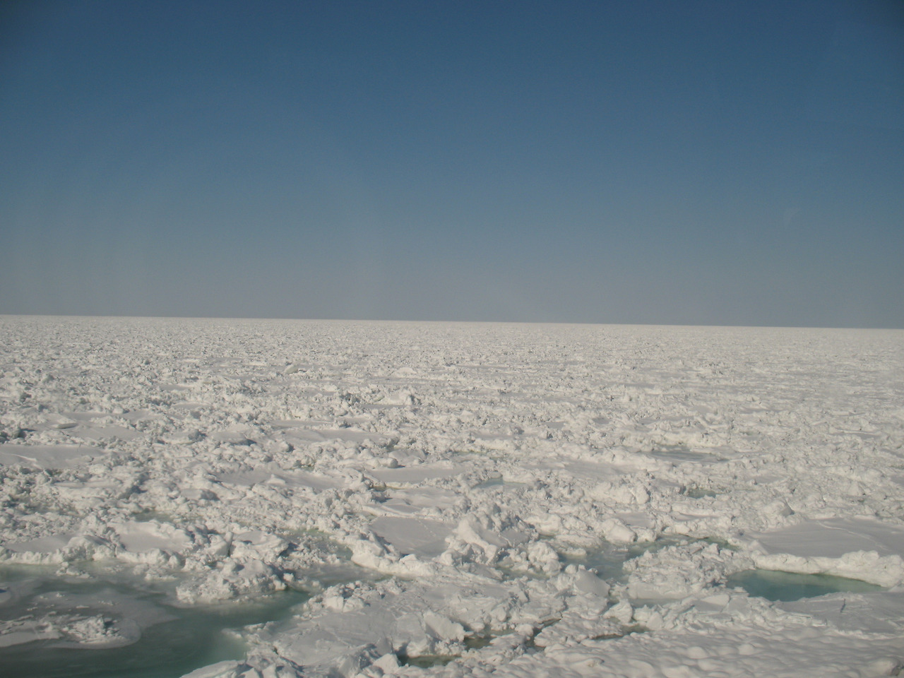 (2011년 2월) 아바시리 1.jpg