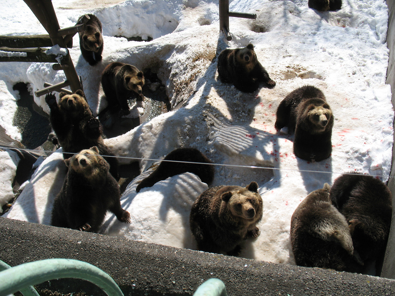 (2011년 2월) 노보리베츠.jpg