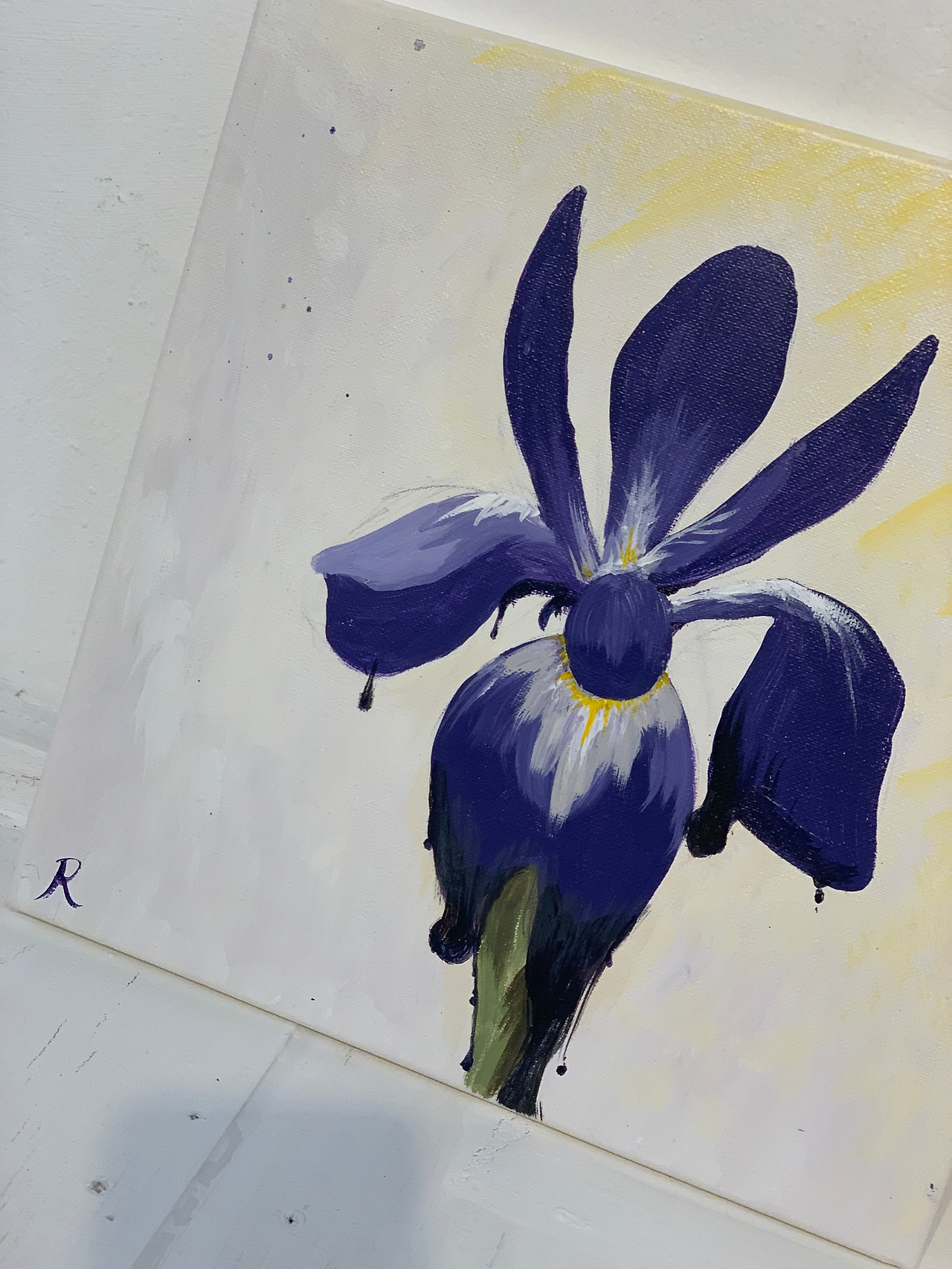 20210605_080519412_iOS 2.jpg