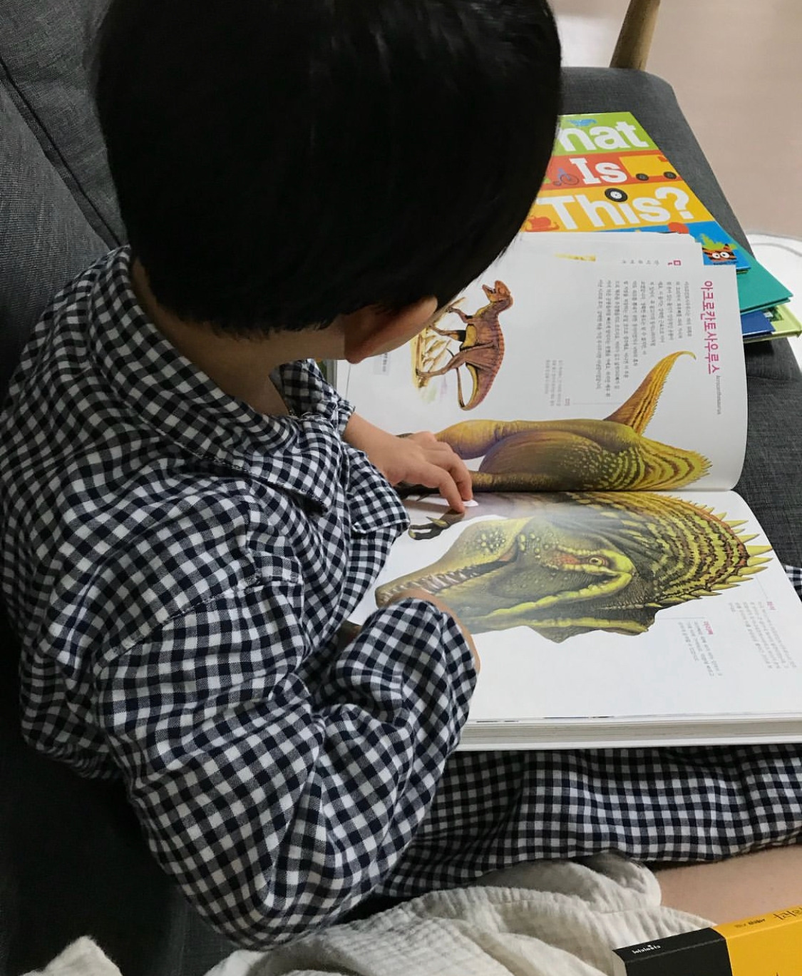 선우의 관심사_공룡.jpg