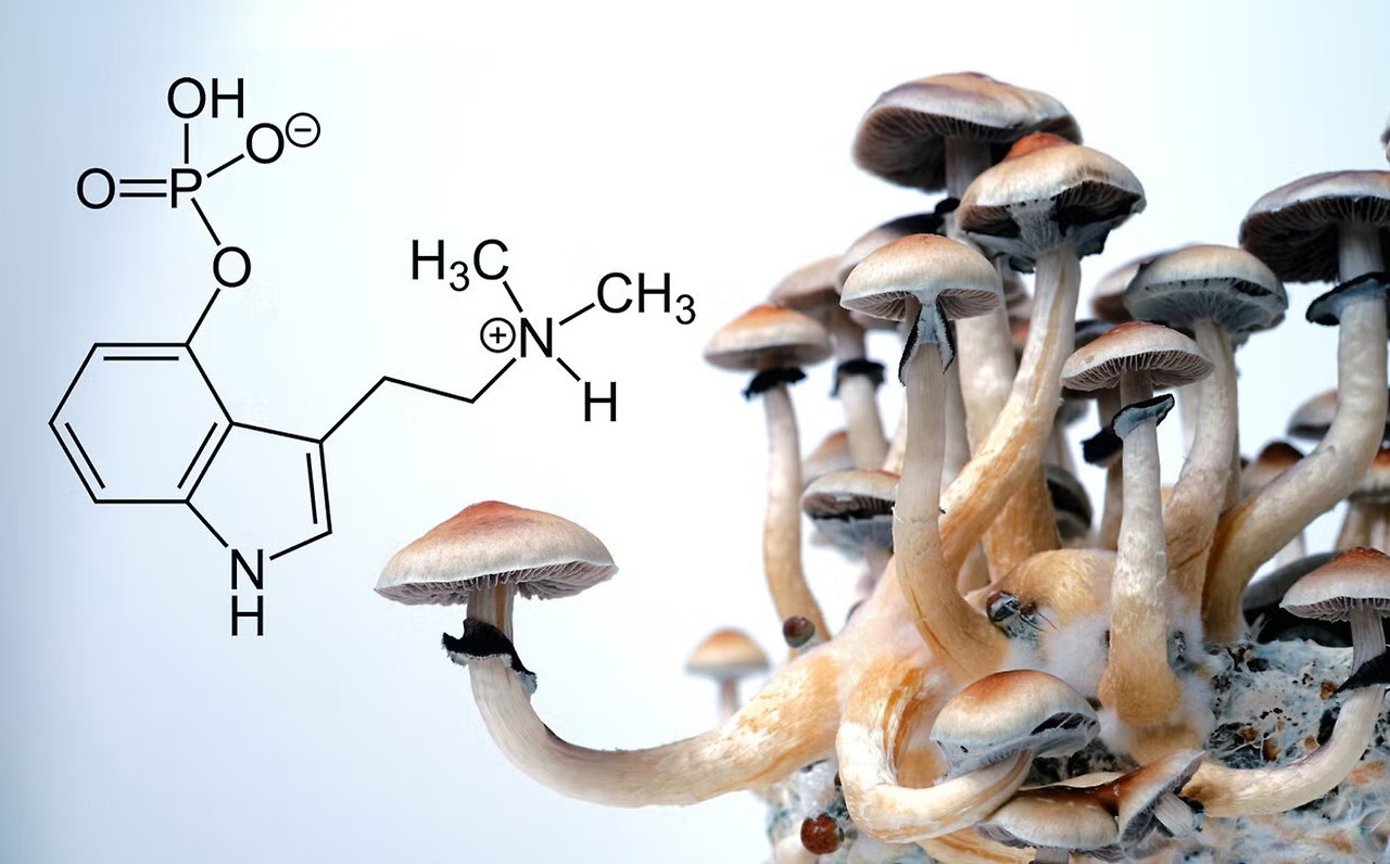 화면 캡처 2025-11-19 144923.jpg