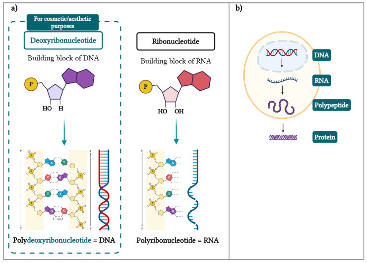 biomolecules-15-00148-g001.jpg