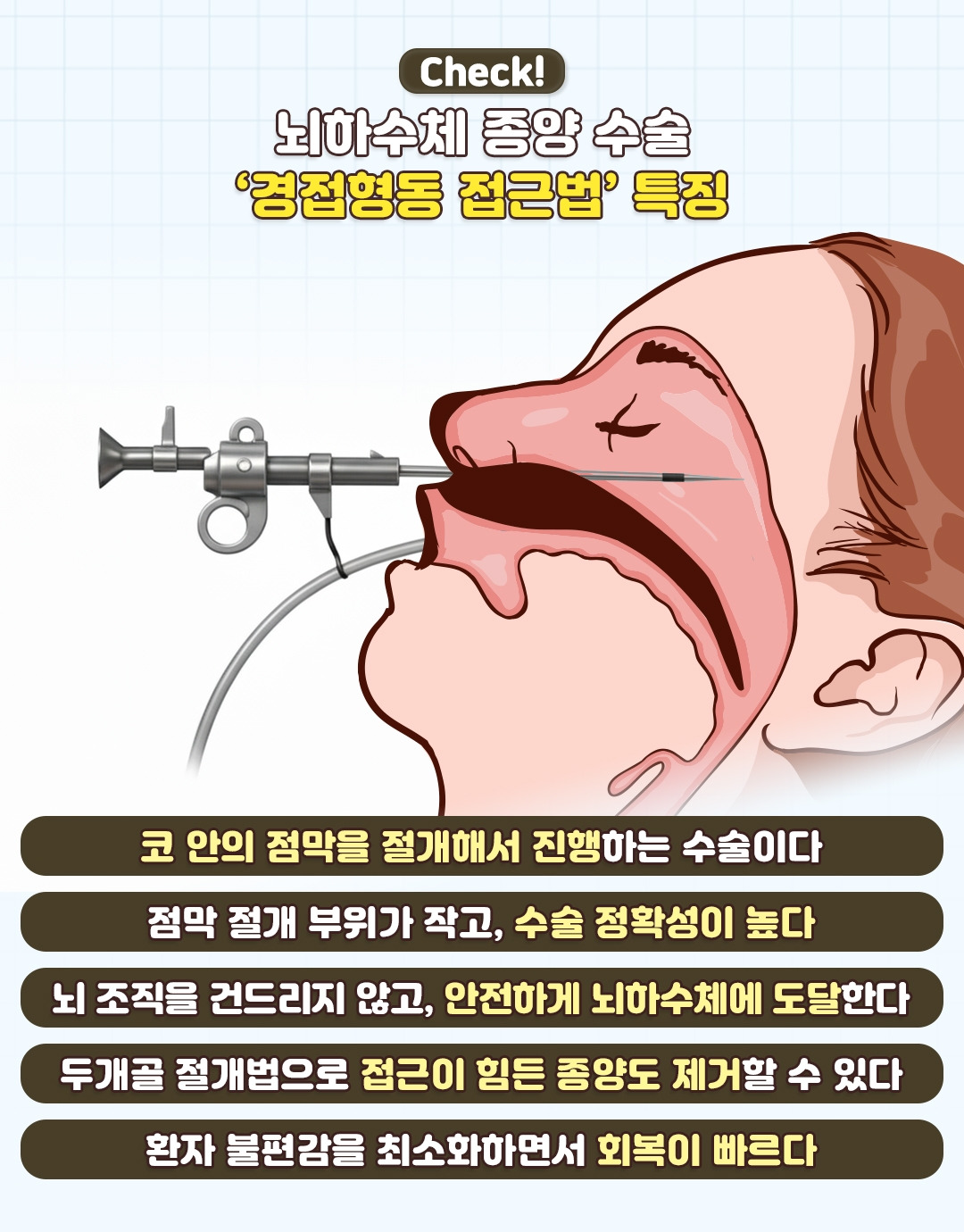 뇌하수체_07.jpg
