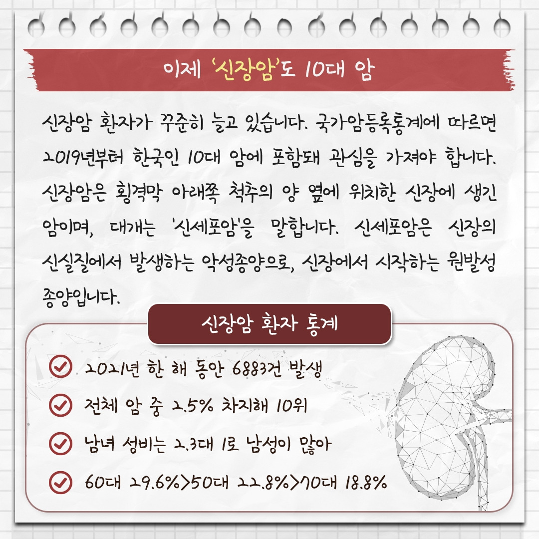 신장암_02 .jpg