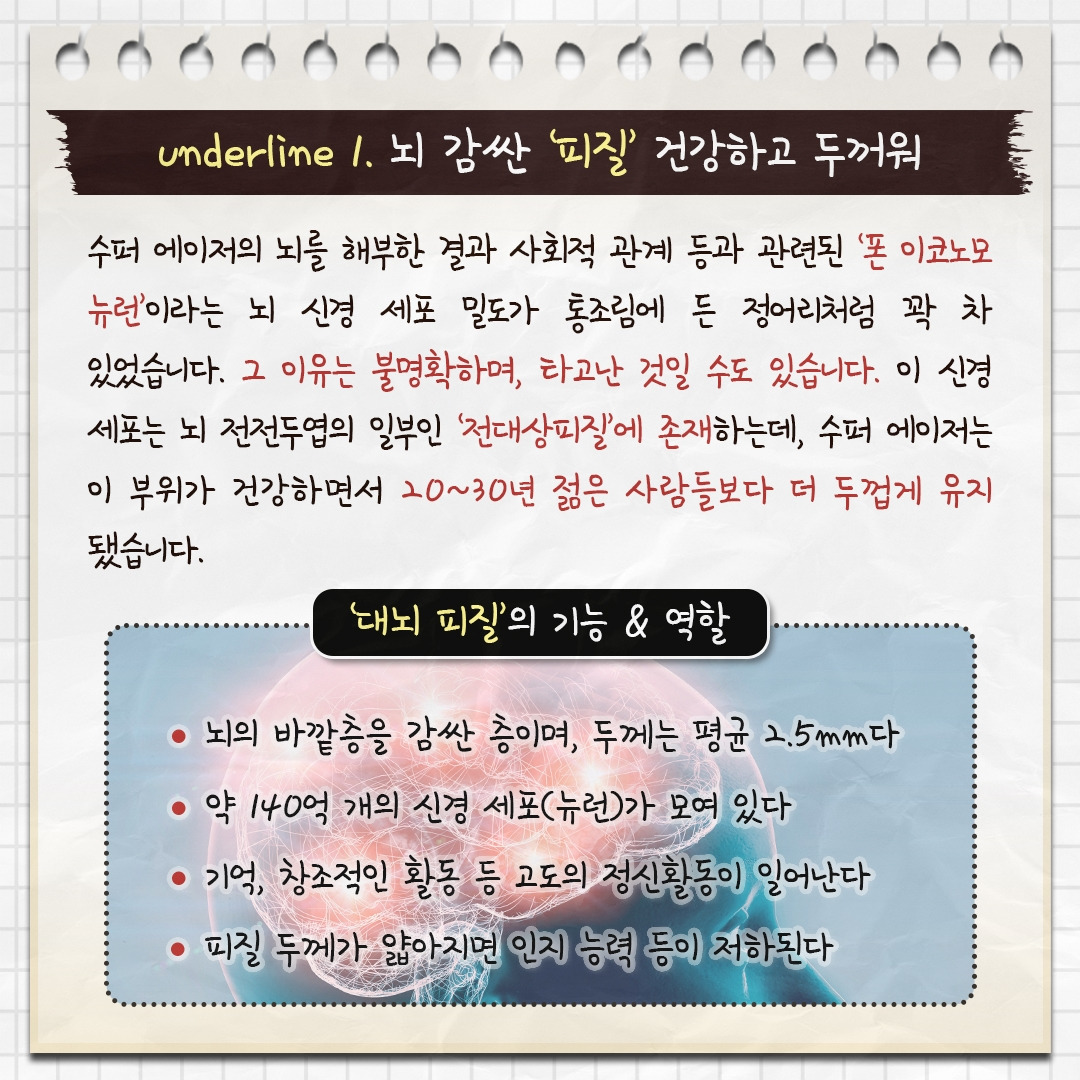 슈퍼 에이저의뇌_04.jpg